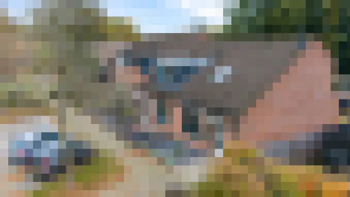 Het Verzet 82 Aalten thumbnail 18