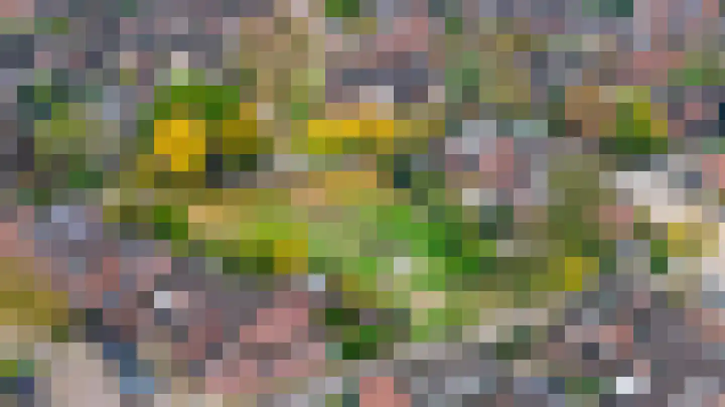 Het Verzet 82 Aalten thumbnail 19