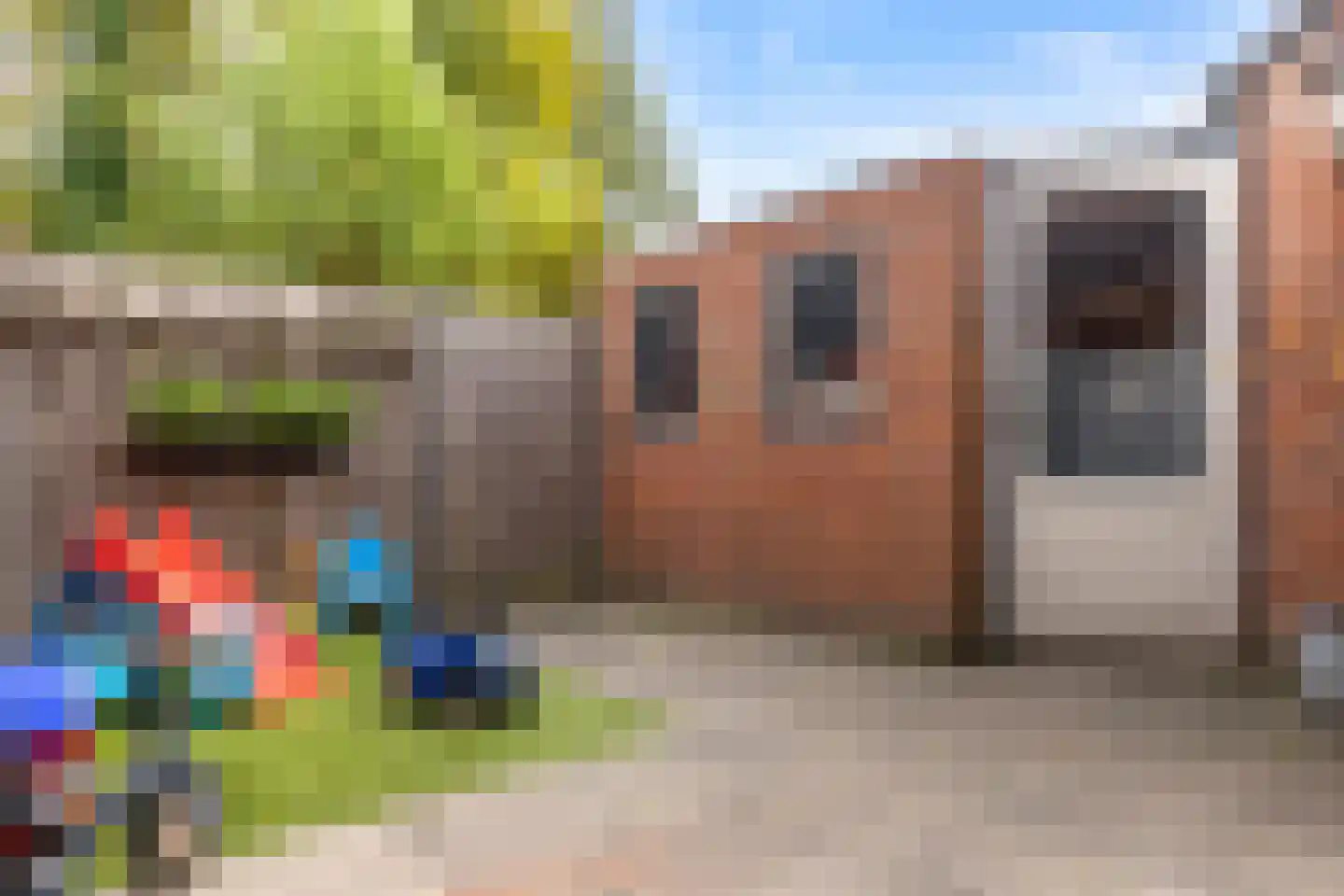 Het Verzet 82 Aalten thumbnail 4