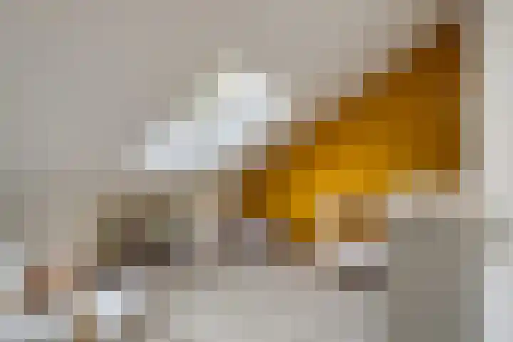 Het Verzet 85 Aalten thumbnail 27