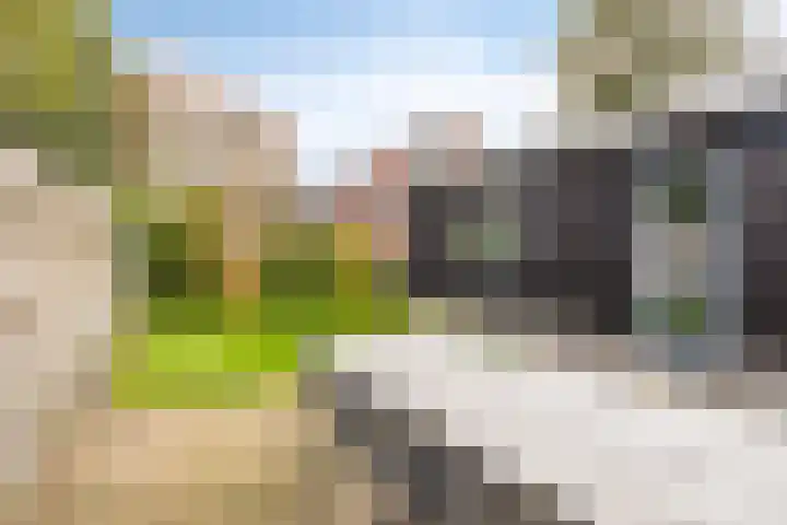Het Verzet 85 Aalten thumbnail 29