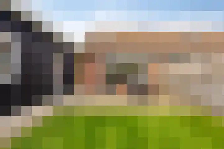 Het Verzet 85 Aalten thumbnail 32
