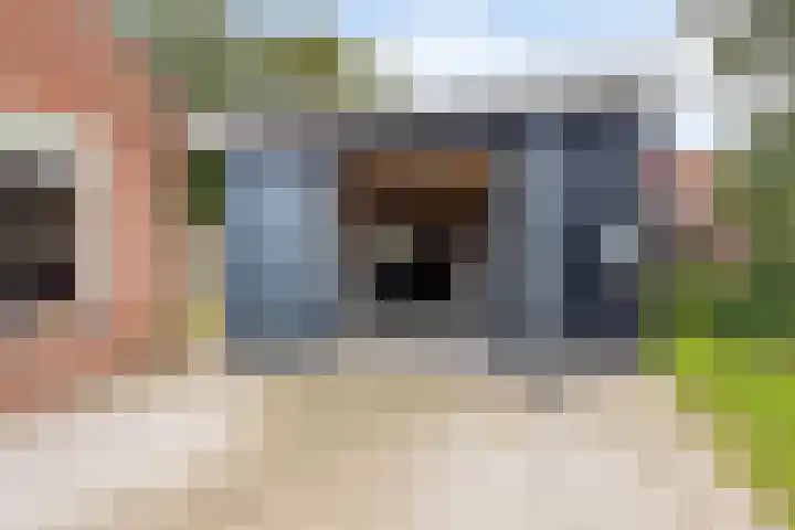 Het Verzet 85 Aalten thumbnail 33