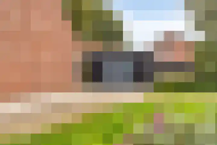 Het Verzet 85 Aalten thumbnail 35