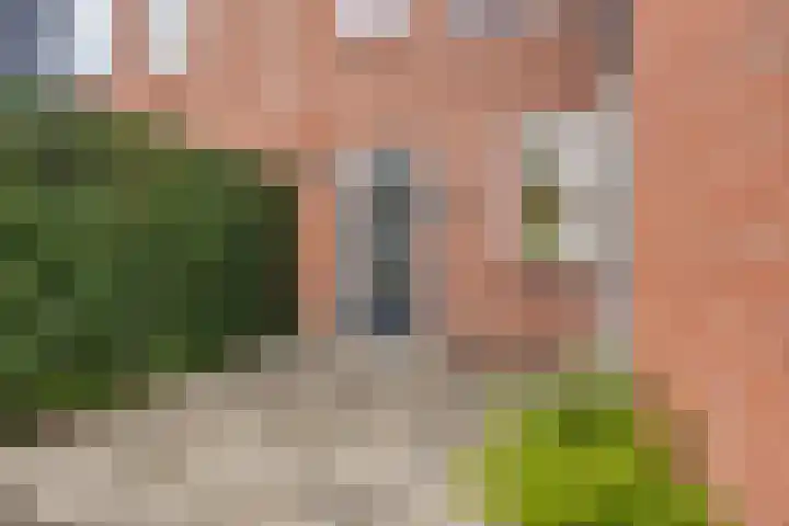 Het Verzet 85 Aalten thumbnail 36