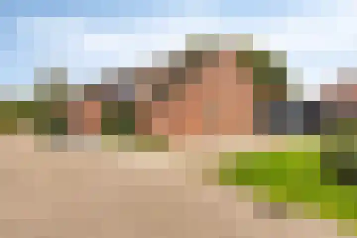 Het Verzet 85 Aalten thumbnail 37