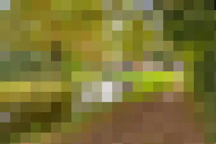 Het Verzet 85 Aalten thumbnail 39