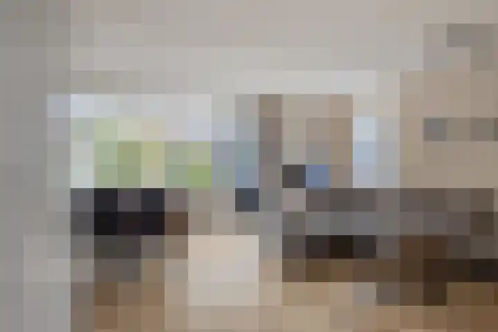 Het Verzet 85 Aalten thumbnail 5