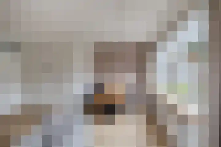 Het Verzet 85 Aalten thumbnail 6