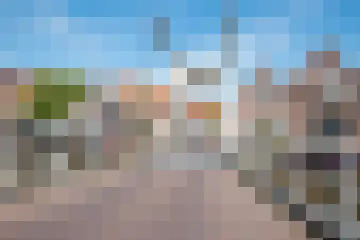 Het Vijvertje 11 D Alkmaar thumbnail 15