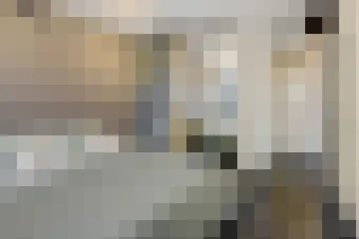 Het Vlaggeschip 61 's-Hertogenbosch thumbnail 18