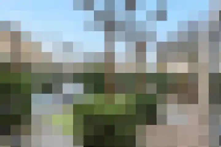 Het Vlaggeschip 61 's-Hertogenbosch thumbnail 30