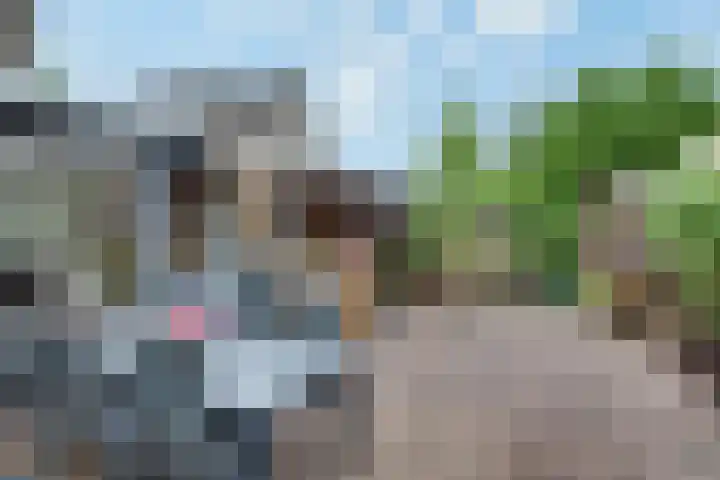 Het Vlaggeschip 63 's-Hertogenbosch thumbnail 25