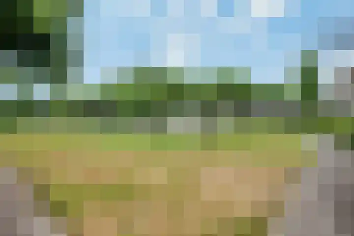 Het Vlaggeschip 63 's-Hertogenbosch thumbnail 31