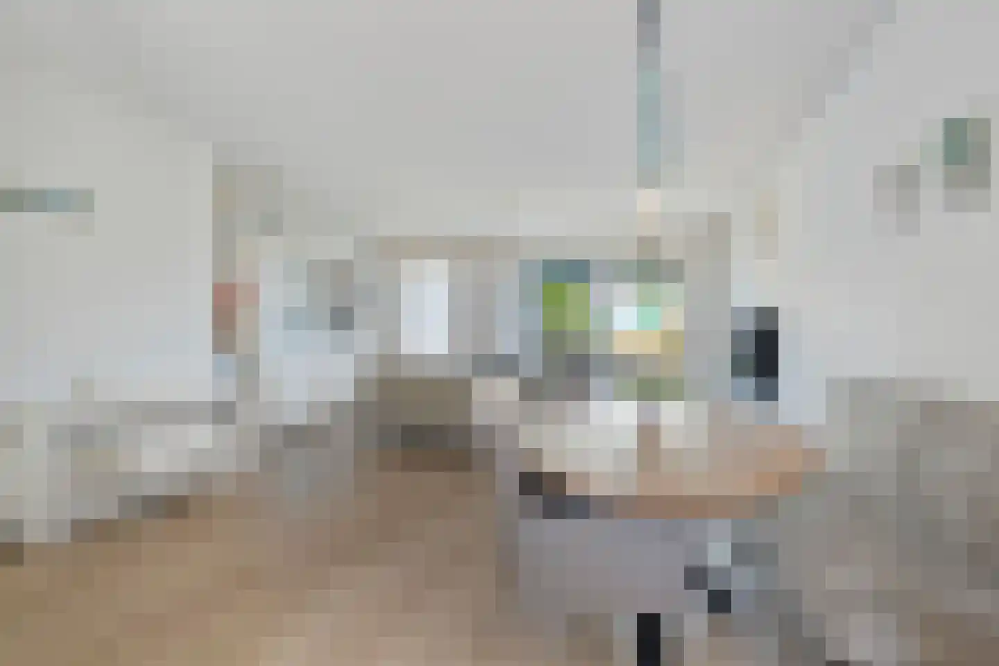 Het Vledder 15 Meppel thumbnail 15