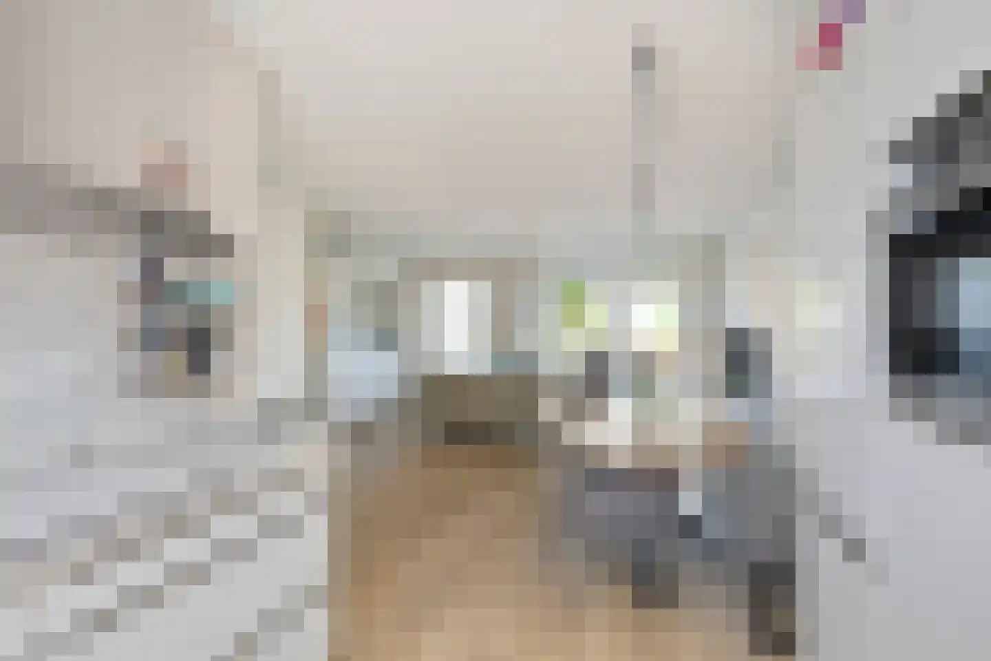 Het Vledder 15 Meppel thumbnail 18