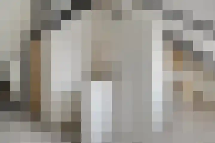 Het Vledder 30 Meppel thumbnail 25