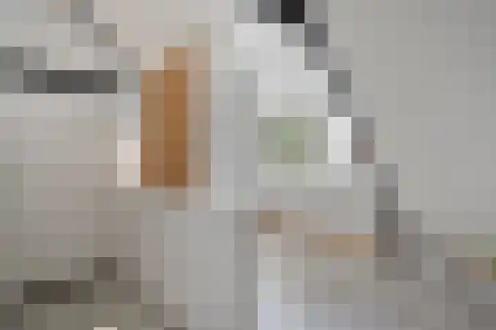 Het Vledder 30 Meppel thumbnail 26