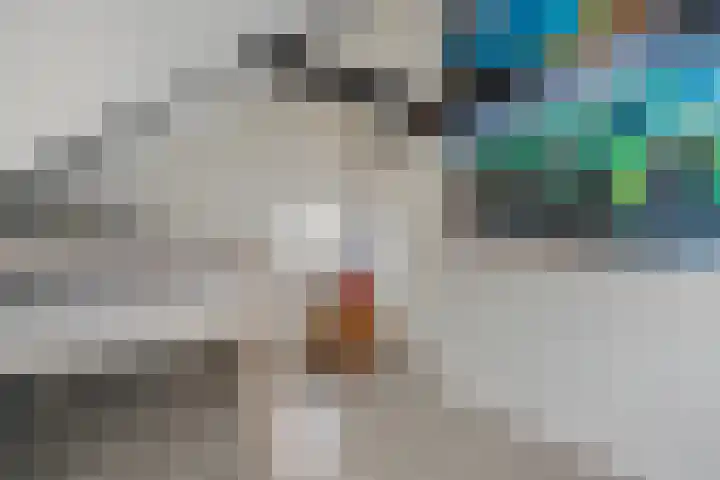 Het Vledder 30 Meppel thumbnail 27