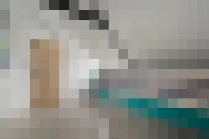 Het Vledder 30 Meppel thumbnail 28