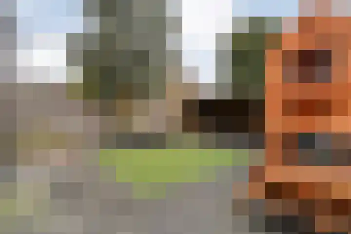 Het Vledder 30 Meppel thumbnail 30