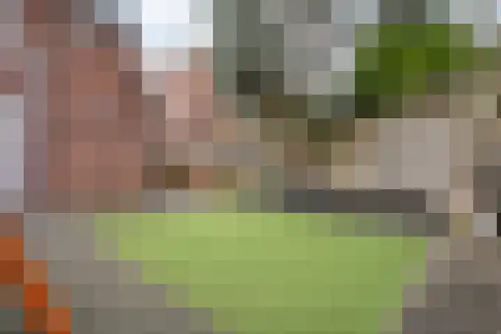 Het Vledder 30 Meppel thumbnail 33