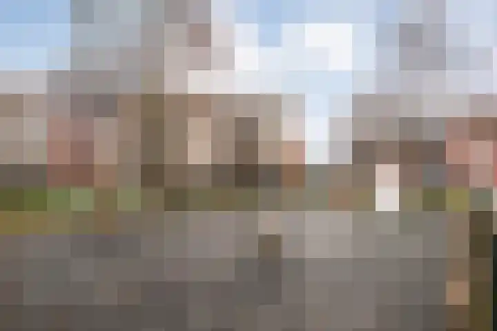 Het Vledder 30 Meppel thumbnail 39