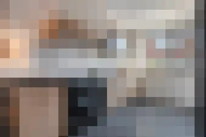 Het Vledder 36 Meppel thumbnail 12