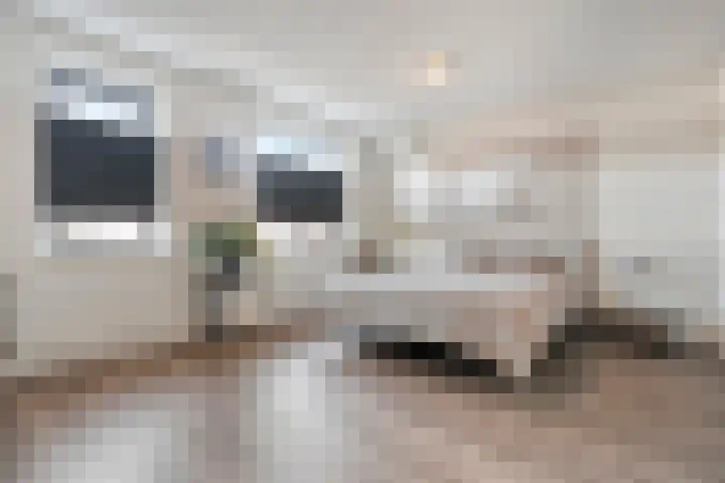 Het Vledder 36 Meppel thumbnail 17