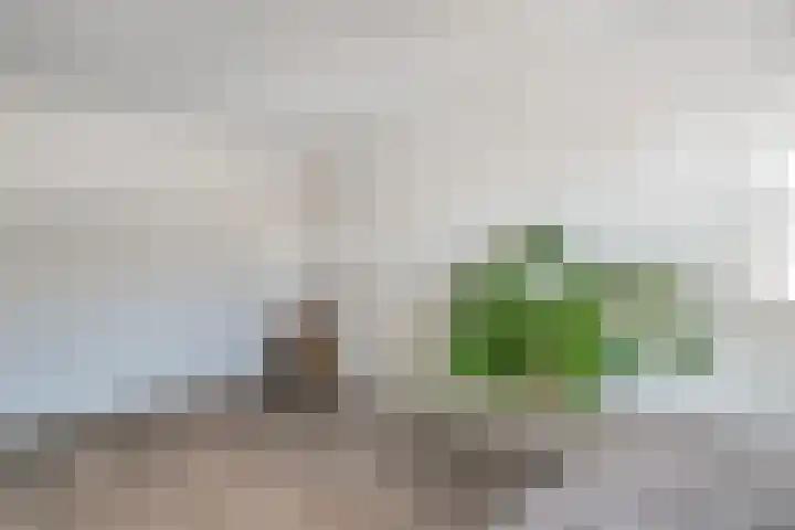 Het Vledder 36 Meppel thumbnail 20