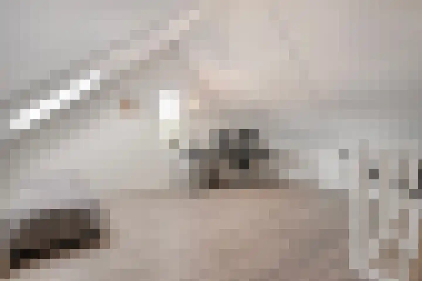 Het Vledder 36 Meppel thumbnail 24