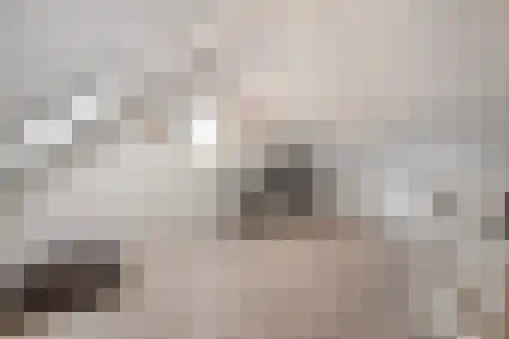 Het Vledder 36 Meppel thumbnail 24