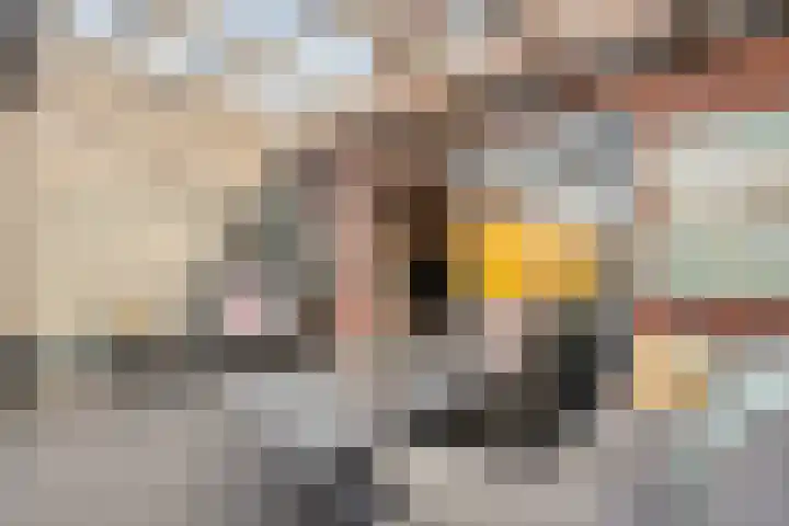 Het Vledder 36 Meppel thumbnail 26