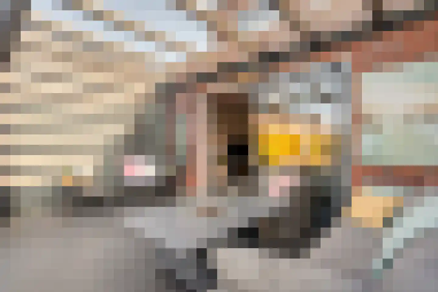Het Vledder 36 Meppel thumbnail 26
