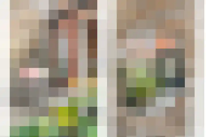 Het Vledder 36 Meppel thumbnail 27