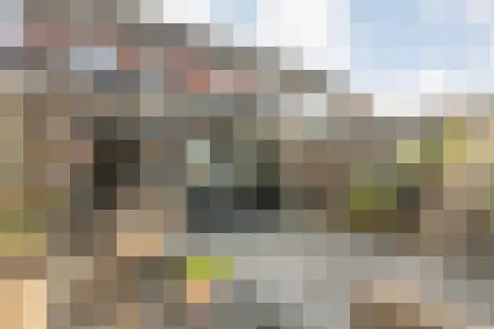 Het Vledder 36 Meppel thumbnail 29