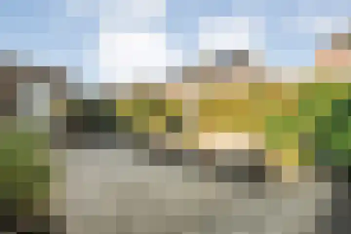 Het Vledder 36 Meppel thumbnail 31