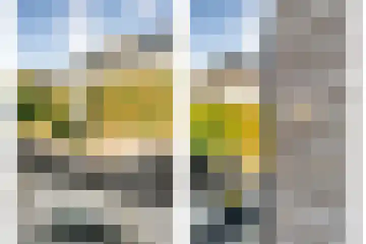 Het Vledder 36 Meppel thumbnail 32