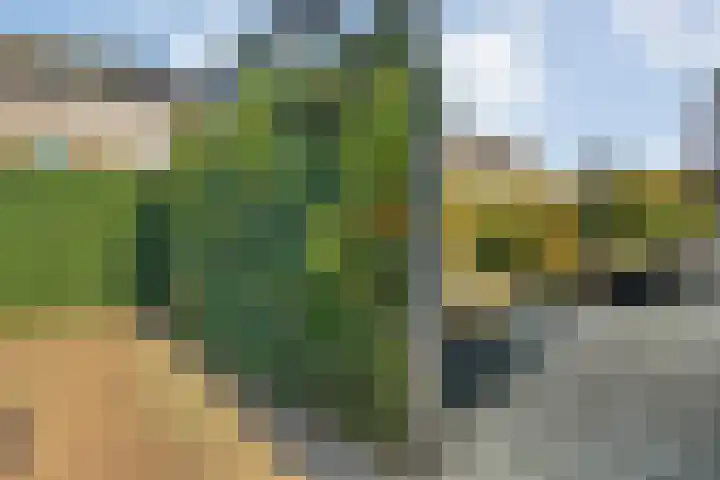 Het Vledder 36 Meppel thumbnail 34