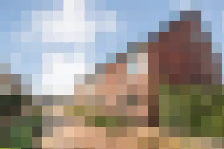 Het Vledder 36 Meppel thumbnail 35