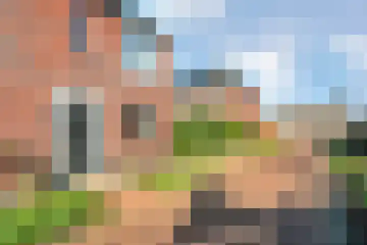 Het Vledder 36 Meppel thumbnail 36