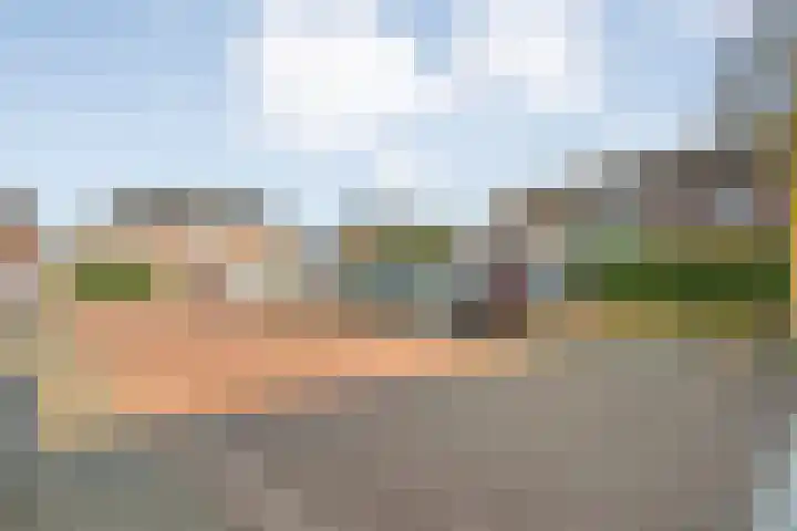 Het Vledder 36 Meppel thumbnail 39