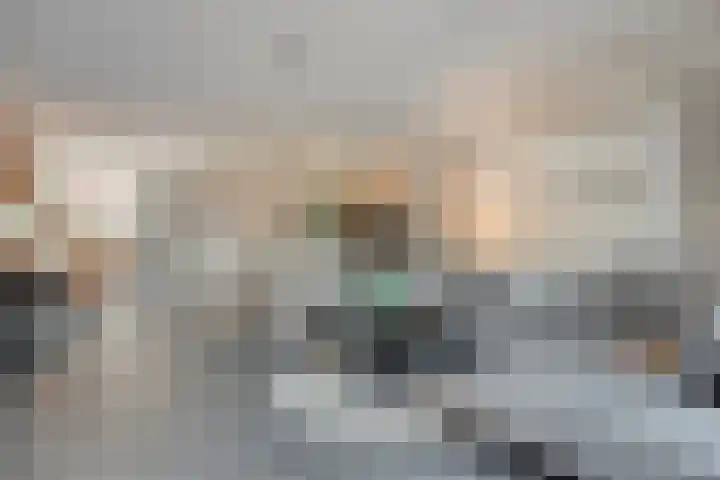 Het Vledder 36 Meppel thumbnail 4