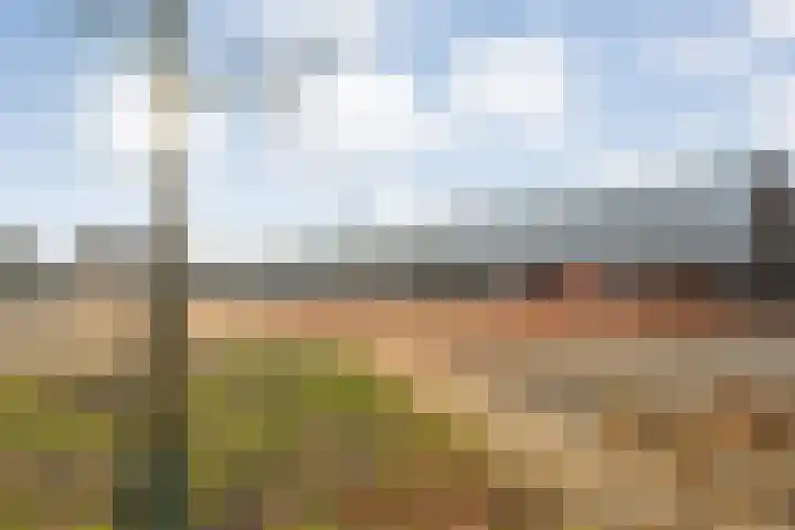 Het Vledder 36 Meppel thumbnail 40