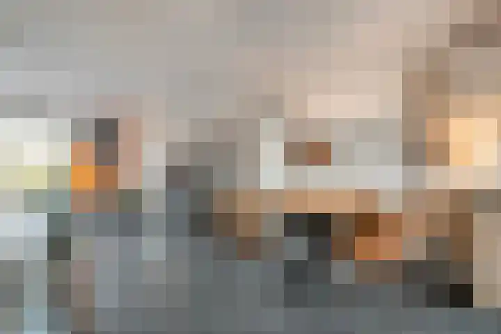 Het Vledder 36 Meppel thumbnail 7