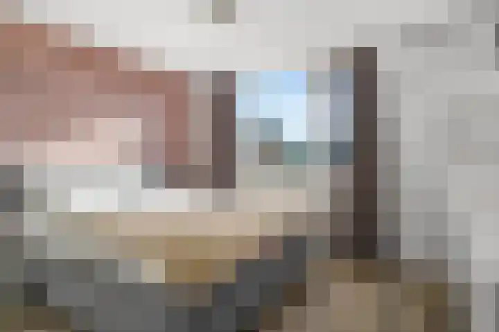 Het Vlier 118 Deventer thumbnail 13