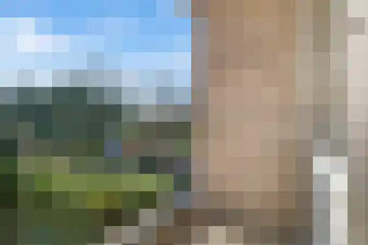 Het Vlier 118 Deventer thumbnail 18