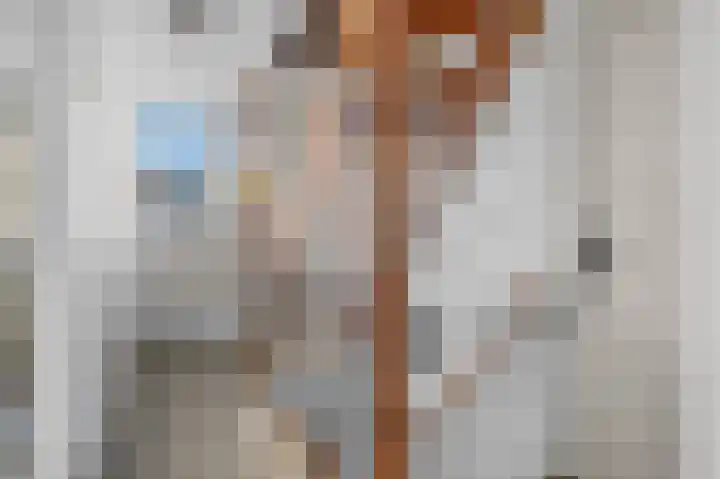 Het Vlier 118 Deventer thumbnail 22