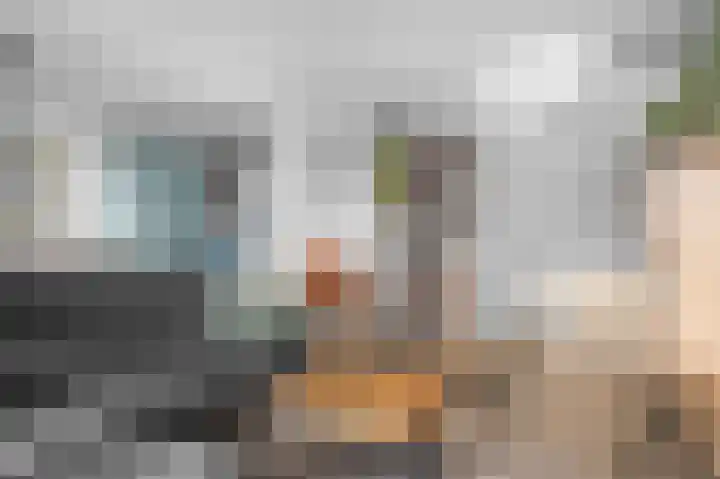Het Vlier 118 Deventer thumbnail 4