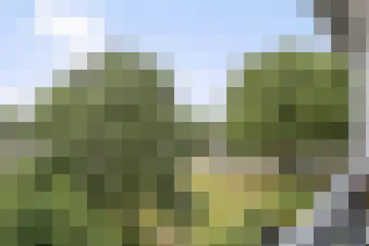 Het Vlier 158 Deventer thumbnail 10